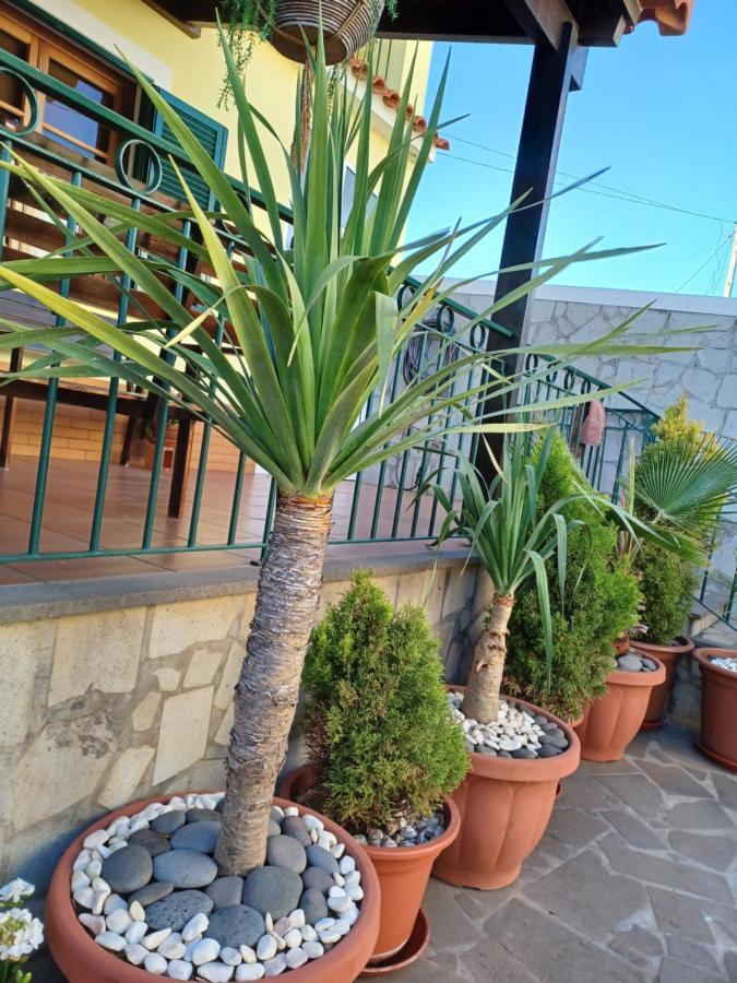 House Near Cr7 Museum Βίλα Φουνκάλ Εξωτερικό φωτογραφία
